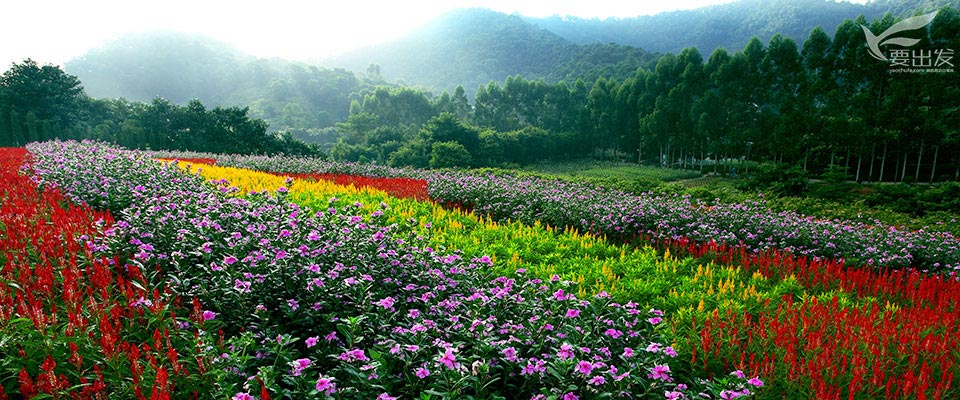 龙凤山庄门票