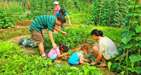 2014春节去哪里玩_春节去哪里玩好
